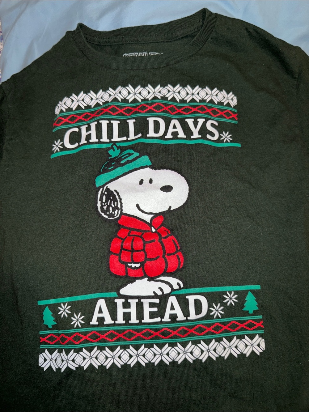 🏖️10 items for $20☀️ Peanuts Snoopy Holiday Graphic Tee - Black, Red, Green